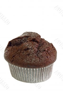 Chocolate chip muffin