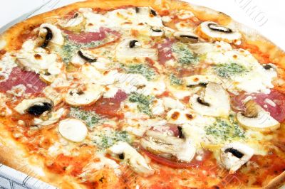 Pizza in detail