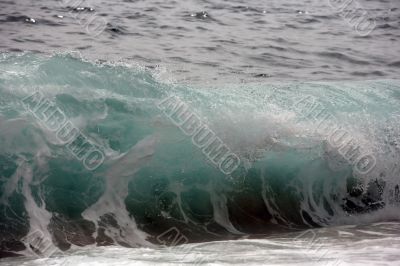 Sea wave