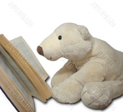 reading teedy bear