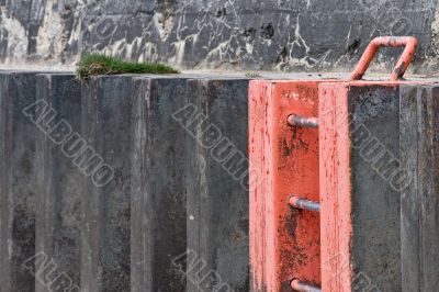 Red Ladder and Grass