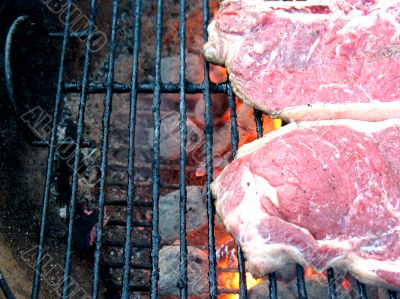 T-Bone Steaks on the Barbecue Grill