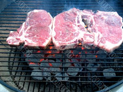 T-Bone Steaks on the Barbecue Grill