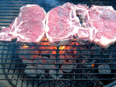 T-Bone Steaks on the Barbecue Grill