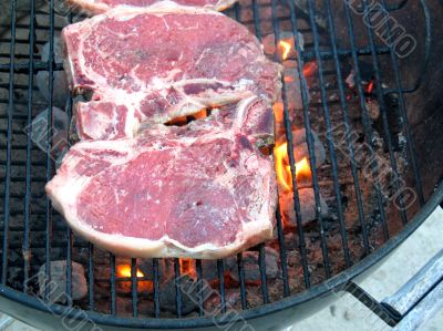 T-Bone Steaks on the Barbecue Grill