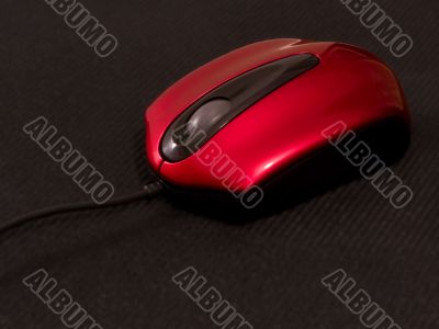 Red mouse