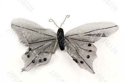 black butterfly