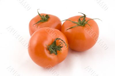 fresh tomatoes