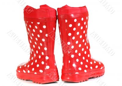 water-proof boots