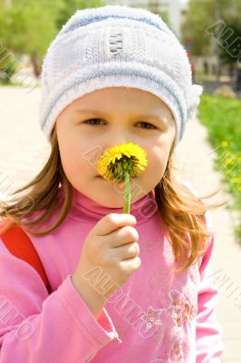 child smells dandelion
