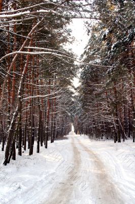 Snow road
