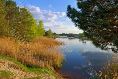 Dream of fisherman. Evening ashore lake