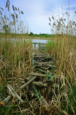 Dream of fisherman. Wooden fishing bridge