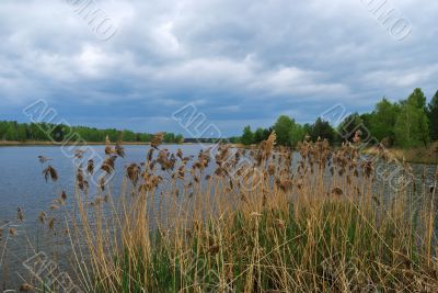 Dream of fisherman. Wild lake