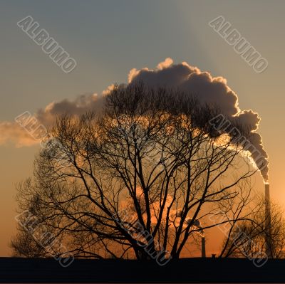 Smoke at sunset