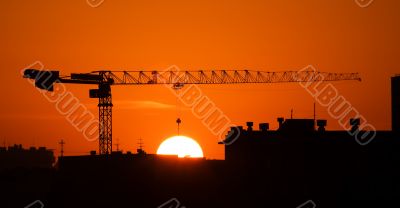 Crane and the sun