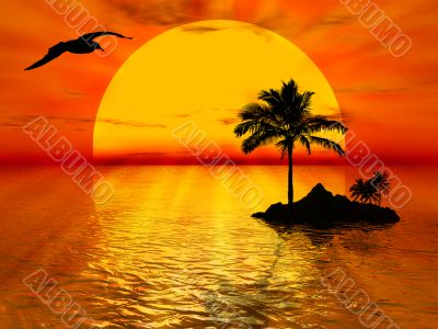 Sunset