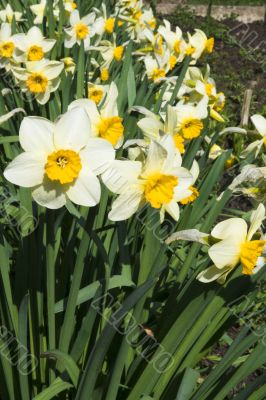 Spring again!