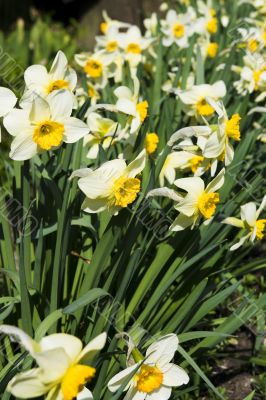 Spring again!