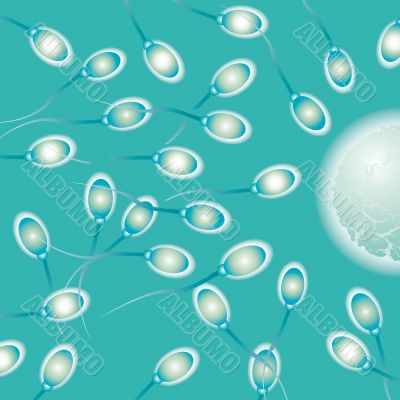 sperm medical