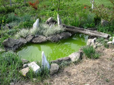 Small decorative pond