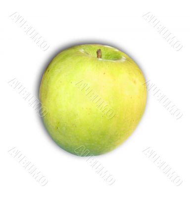 Yellow and green color apple