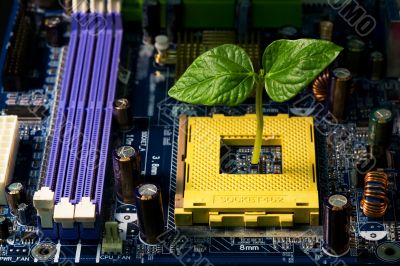 Sprout in computer