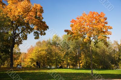 Autumnal park
