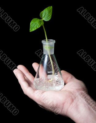 Sprout,flask,hand 02