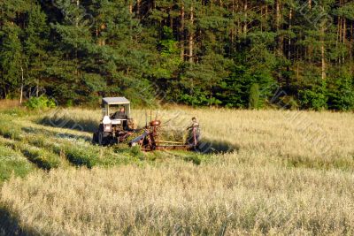 cutting up hay in a field