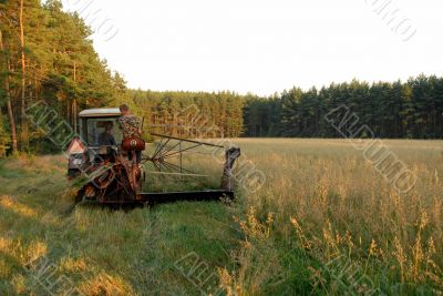 cutting up hay in a field