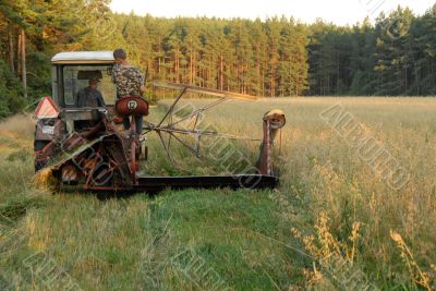 cutting up hay in a field