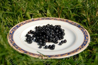 berry on the plate