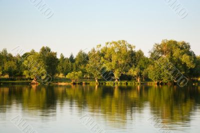 Lake,trees