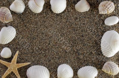 shells and stones