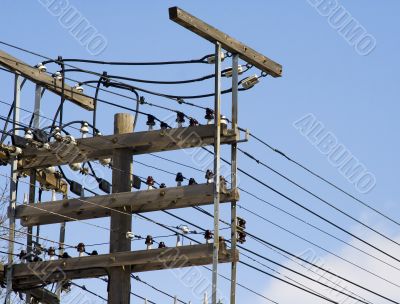 Electric line pole