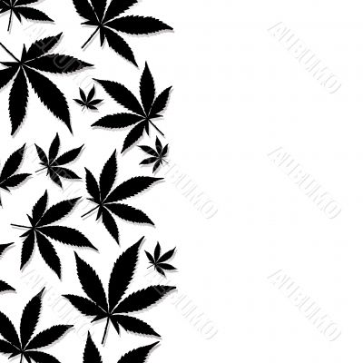 cannabis leaf
