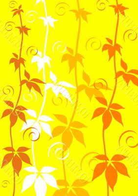 Floral Background