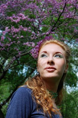 Lilac blossom