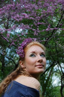 Lilac blossom