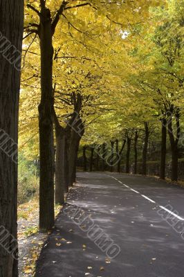 Picturesque road