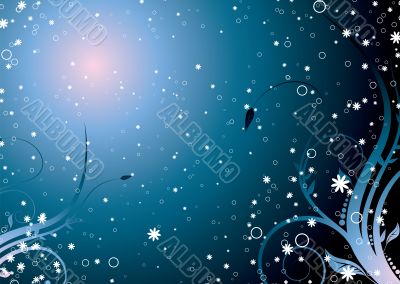 Space stella floral