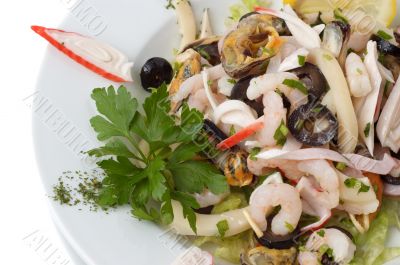 shrimp and mussel salad