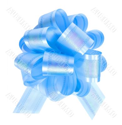 Blue bow