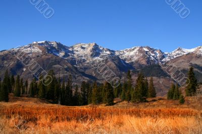 Mountain Meadow 34
