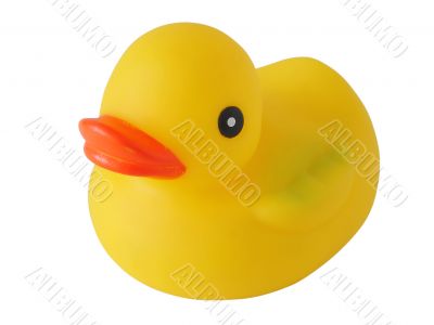 Toy yellow duck