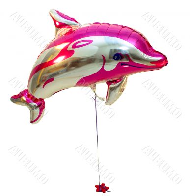 Toy dolphin.