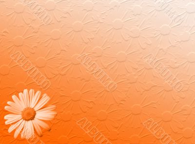 Daisy texture