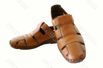 Man`s  leather brown shoes.