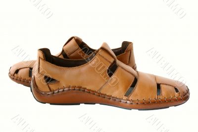 Man`s  leather brown shoes.